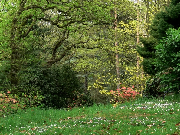 Bois des Moutiers (154) Mai 2012
